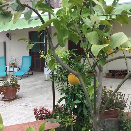 Oplontis' Garden - Holiday Apartment Near Pompeii 토레 안눈치아타 외부 사진